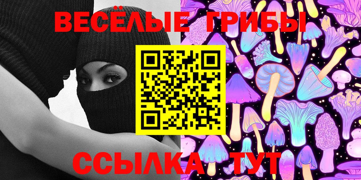 Галлюциногенные грибы Psilocybe  Псилоцибиновые грибы GOLDEN TEACHER  Вход с VPN  Киров 