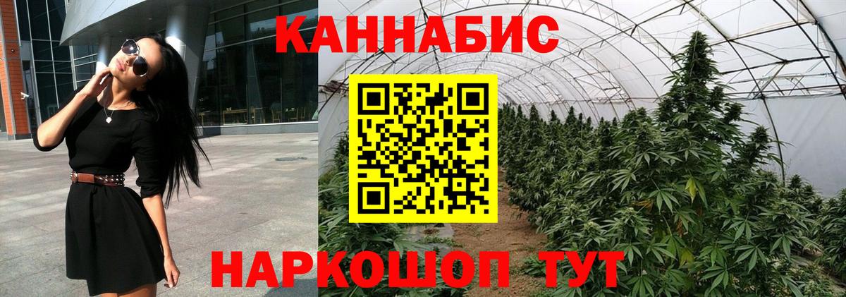 Бошки Шишки семена Киров